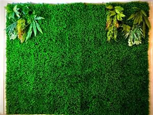 گرین وال استوایی مدل آیدا کد 1180