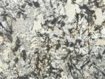 سنگ نما ساختمان گرانیت دلیکاتوس کِرِم (Cream Delicatus Granite)