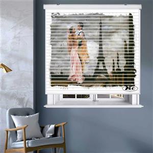 پرده زبرا زیو مدل سیلوئت P-6039