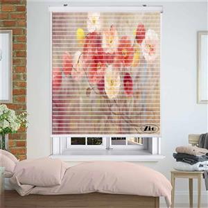 پرده زبرا زیو مدل سیلوئت P-6050