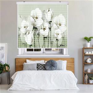 پرده زبرا زیو مدل سیلوئت P-6051