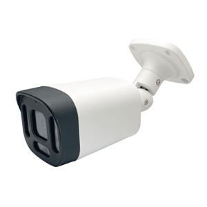 دوربین مداربسته تحت شبکه رایمون مدل بولت 8313  5 مگاپیکسل