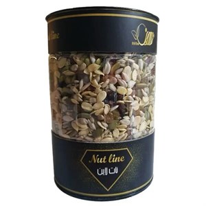 آجیل سالاد نات لاین - 600 گرم