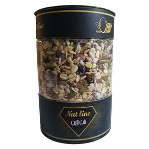 آجیل سالاد نات لاین - 600 گرم
