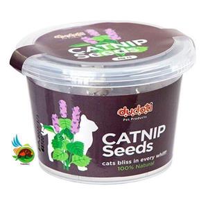 بذر علف گربه دودوتی مدل کت نیپ 80 گرمی