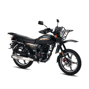 موتورسیکلت به پر شکاری SH200