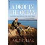 کتاب A Drop in the Ocean اثر Polly Pullar انتشارات Origin 