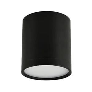 چراغ سقفی استوانه روکار 15 وات SMD (کد BLN15)