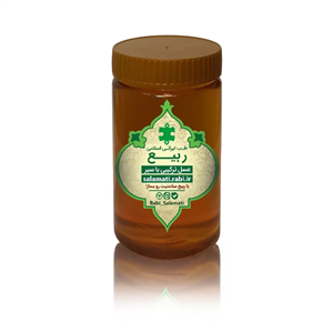 عسل ترکیبی با سیر 500 گرمی ربیع کیفیت عالی 