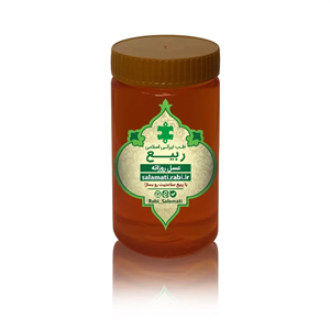 عسل طبیعی روزانه (تغذیه نیست) یک کیلوگرم 