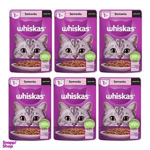 پوچ گربه ویسکاس مدل Salmon وزن 85 گرم بسته 6 عددی