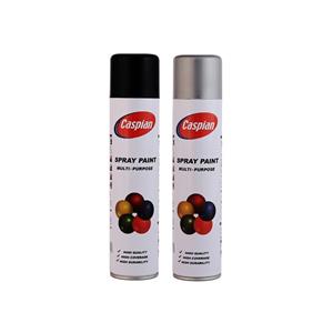 اسپری رنگ مشکی مات و نقره ای کاسپین مدل cas2 حجم 300 میلی لیتر مجموعه 2 عددی