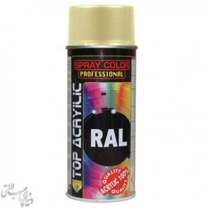 اسپری رنگ خاکستری روشن اکو سرویس 7032 Eco Service RAL Spray Color