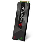Biostar M500 256GB PCIe Gen3x2 M.2 2280 Internal SSD Drive