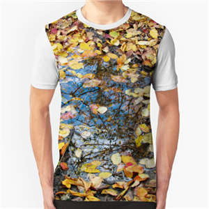 تی شرت گرافیکی به رنگ پاییز 
