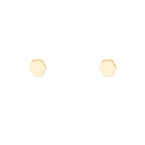 گوشواره طلا 18 عیار زنانه پرسته مدل شش ضلعی 