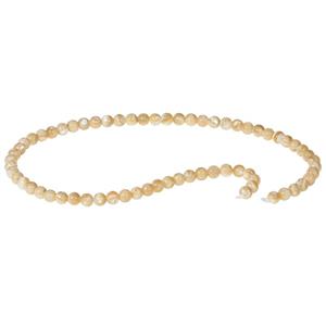 ریسه سنگ صدف اقلیمه کد B71