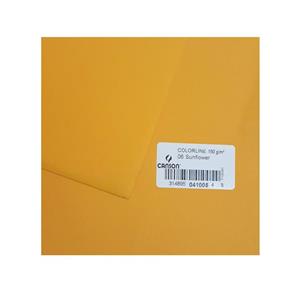 مقوا کانسون کد 06 سایز 50*65 سانتی متر بسته 10 عددی