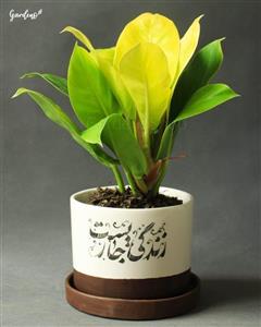 گلدان مدل مربع کد 206 بسته 2 عددی