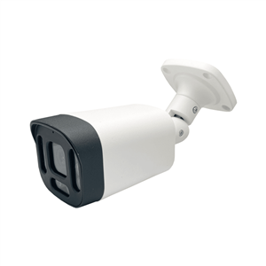 دوربین مداربسته آنالوگ رایمون مدل بولت 8313 2 مگاپیکسل