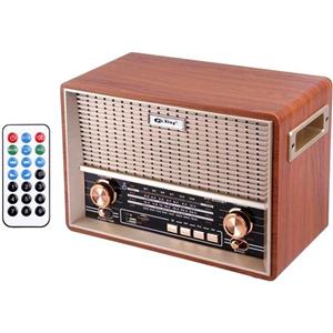 رادیو اسپیکر پیوکسینگ مدل PX-2020BT