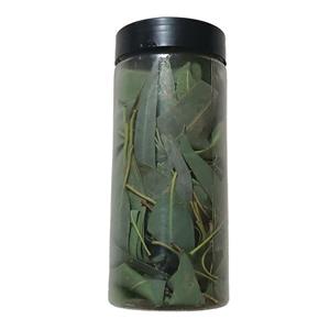 برگ اکالیپتوس خشک شده - 150 گرم