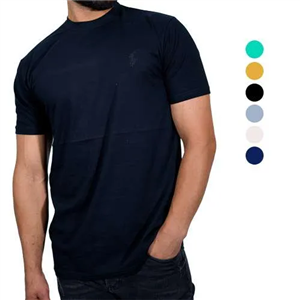 تی شرت مردانه یقه صاف برند پولو A248 
