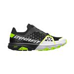 کفش ورزشی داینافیت Alpine DNA 2 Running
