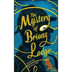 کتاب The Mystery of Briony Lodge اثر David Bagchi انتشارات Barbican Press 