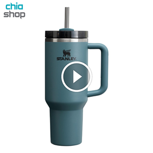 مجموعه ۵ عددی ماگ استنلی نی دار Stanley mug 5 pieces (های کپی)