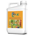 کود مایع پروکا برت ایکس گرین آمریکا 5 لیتری (Pro K XGreen)