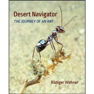 کتاب Desert Navigator اثر Rudiger Wehner انتشارات تازه ها 