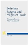 Zwischen Exegese Und Religioser Praxis: Heilige Texte Von Der Spatantike Bis Zum Klassischen Islam