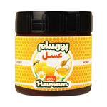 Porsam honey - 400 grams