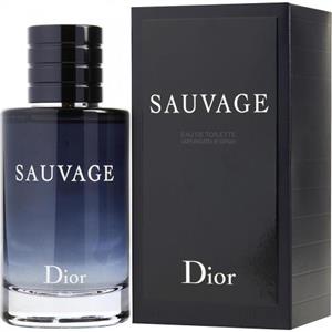 ادو تویلت مردانه دیور مدل Sauvage حجم 100 میلی لیتر Dior Sauvage Eau De Toilette For Men 100ml