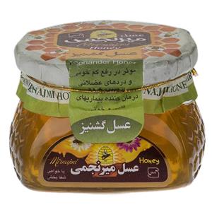 عسل گشنیز میرنجمی وزن 350 گرم Mirnajmi Coriander Honey 350Gr