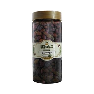 دمنوش میوه گل نسترن زمانی - 600 گرم