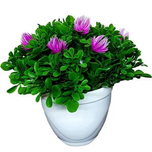 گلدان به همراه گل مصنوعی مدل z400