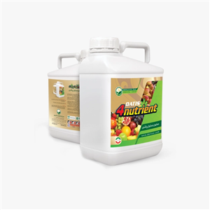 فورنوترینت صابون محلول پاشی 20 L Datis 4Nutrient Saop