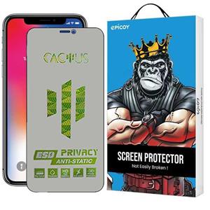 محافظ صفحه نمایش حریم شخصی اپیکوی مدل Cactus-ESD-Privacy مناسب برای گوشی موبایل اپل iPhone 11 Pro - Xs - X