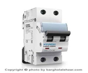 کلید مینیاتوری هیوندا دو پل 6 آمپر تیپ C قدرت قطع 6KA