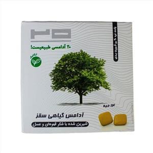 آدامس گیاهی سقز بیست - 250 گرم