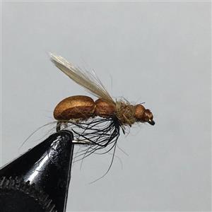 پشه ماهیگیری فلای مورچه بالدار(قهوه ای) Winged Ants