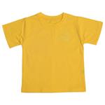 تی شرت آستین کوتاه پسرانه دلنار گالری مدل تمام پنبه گلدوزی Adventure