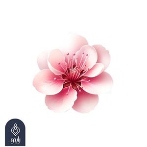 عطر طبیعی شکوفه هلو حجم 20 میلی لیتر