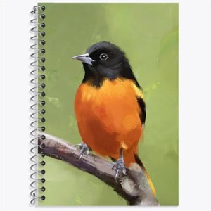 دفتر یادداشت 50 برگ خندالو مدل پرندگان خشمگین Angry Birds کد 13868
