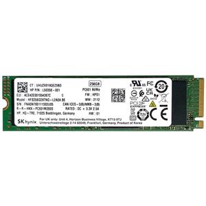 اس اس دی اینترنال اس کی هاینیکس مدل PC601 NVMe ظرفیت 256 گیگابایت