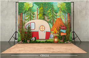 بکدراپ تابستان کد CD1211 