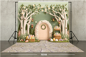 بکدراپ بهار کد MS09 