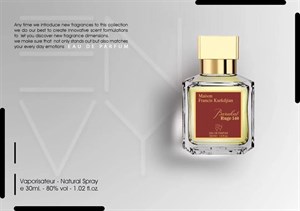عطر ان وی باکارات رژ 540 | Envy Baccarat Rouge 540 | ادوپرفیوم 25 میل